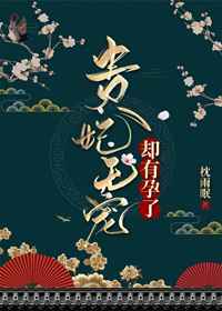 三三宝丽来