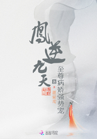 爱宠大机密