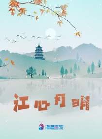 婷婷导航