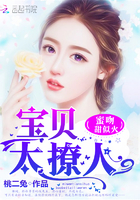莉莉卡奥特曼全集资源
