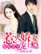 就要爱