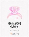 老九门电视剧完整版免费播放