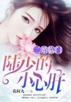 天降之物第三季