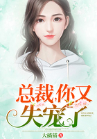 任贤齐个人资料