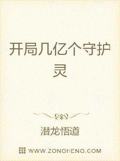 金装律师电视剧