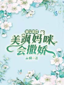 龟甲小说免费阅读