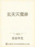 白卿言白锦绣小说无弹窗