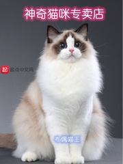 哈尔滨邮编