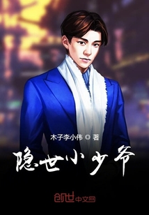 政途巅峰免费阅读