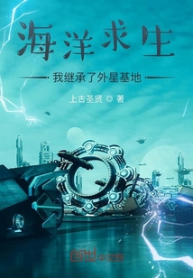 猫咪网站永久在线观看
