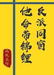 壮熊的世界