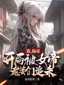卧底警花林欣儿黑龙