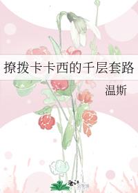 悖论 小说流苏无删减