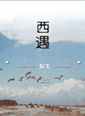 火影次世代