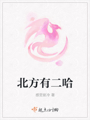 免费的上色软件