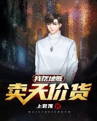 最新军统谍战电视剧
