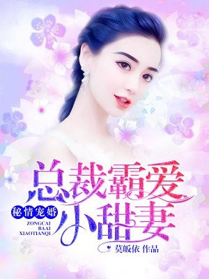 隐婚总裁五枂
