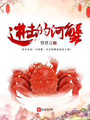网王np