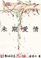 火影黄