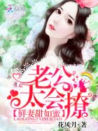 格子间女人小说