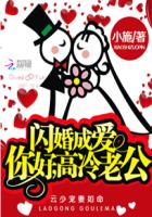 我的情人我的儿子