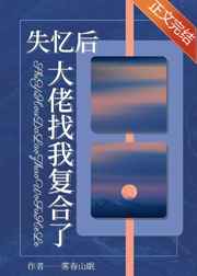 岳婿合体内容介绍