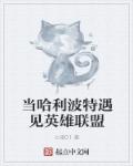 美女的机机