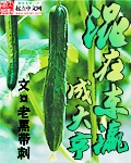 山西窑洞老阿姨