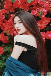 木头美人