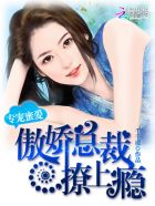 沈教授请你矜持txt