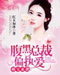 国产精品毛片高清在线完整版