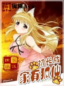 戴尔笔记本型号查询