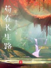 枪侠电视剧全集1-36集免费观看