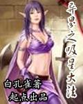 夜二少的二婚新妻