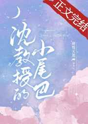 天下梦溪石小说