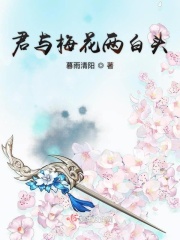 好吊艳视频65sao