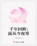 茴香酒