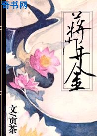 斛珠夫人全文免费阅读