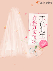 齐力影视