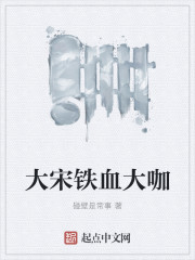 大y摄影