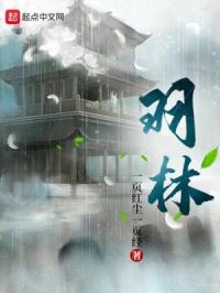 扶摇夫人h