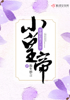 棋魂国语