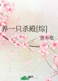 乱码视频午夜在线观看