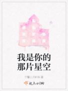 手打小说网