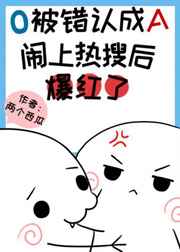 少年阿宾txt下载网盘