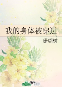 类似少年阿宾的小说