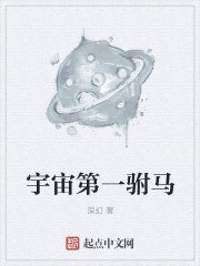 沦为宠物玩具老师