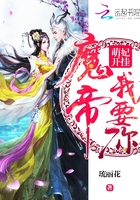 美美的高清图片视频免费观看