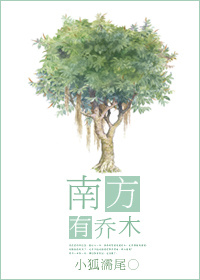 24小时野马网址
