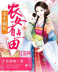 理轮片